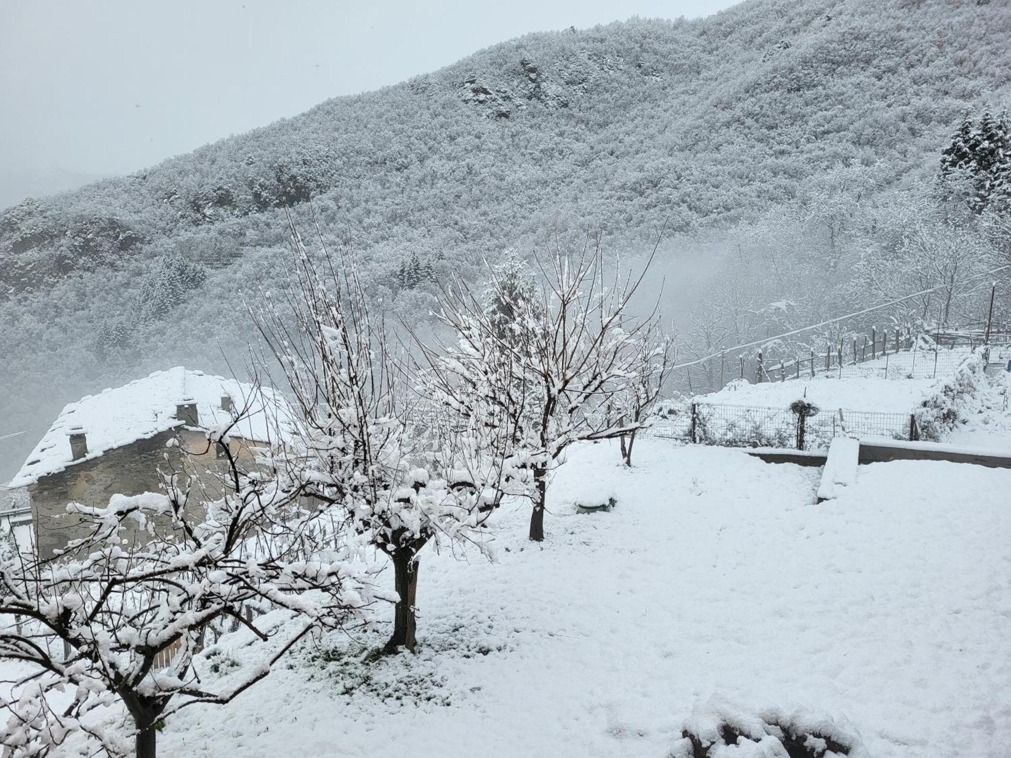 Borzonasca Antiche Atmosfere...ヴィラ エクステリア 写真